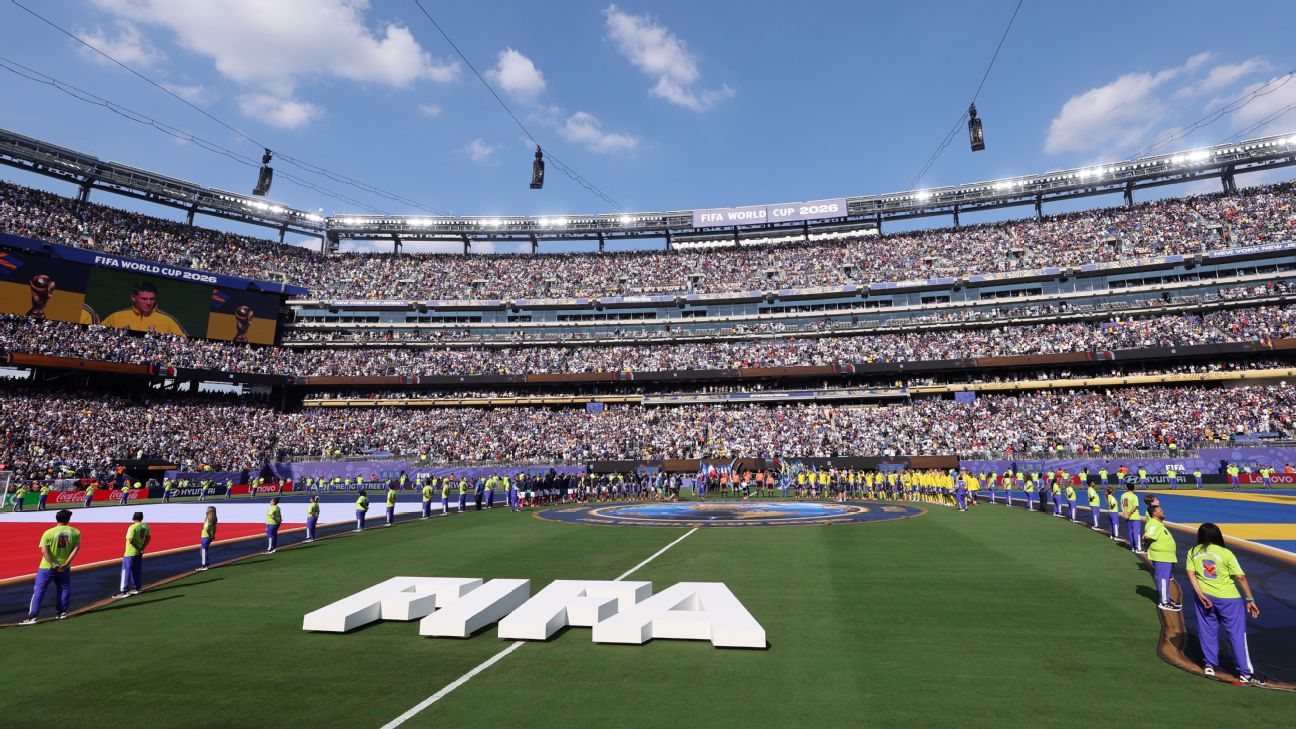 FIFA把2026世界杯决赛草皮切块出售 每块450美元